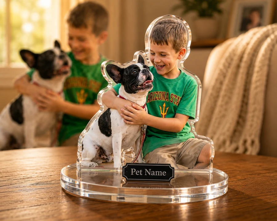 Boston Terrier figurine — custom Pets gift